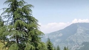 Un balcón con vistas a un paisaje montañoso, que incluye árboles y una lejana cumbre.