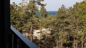 Ein dichter Wald mit freiem Blick auf den Ozean.