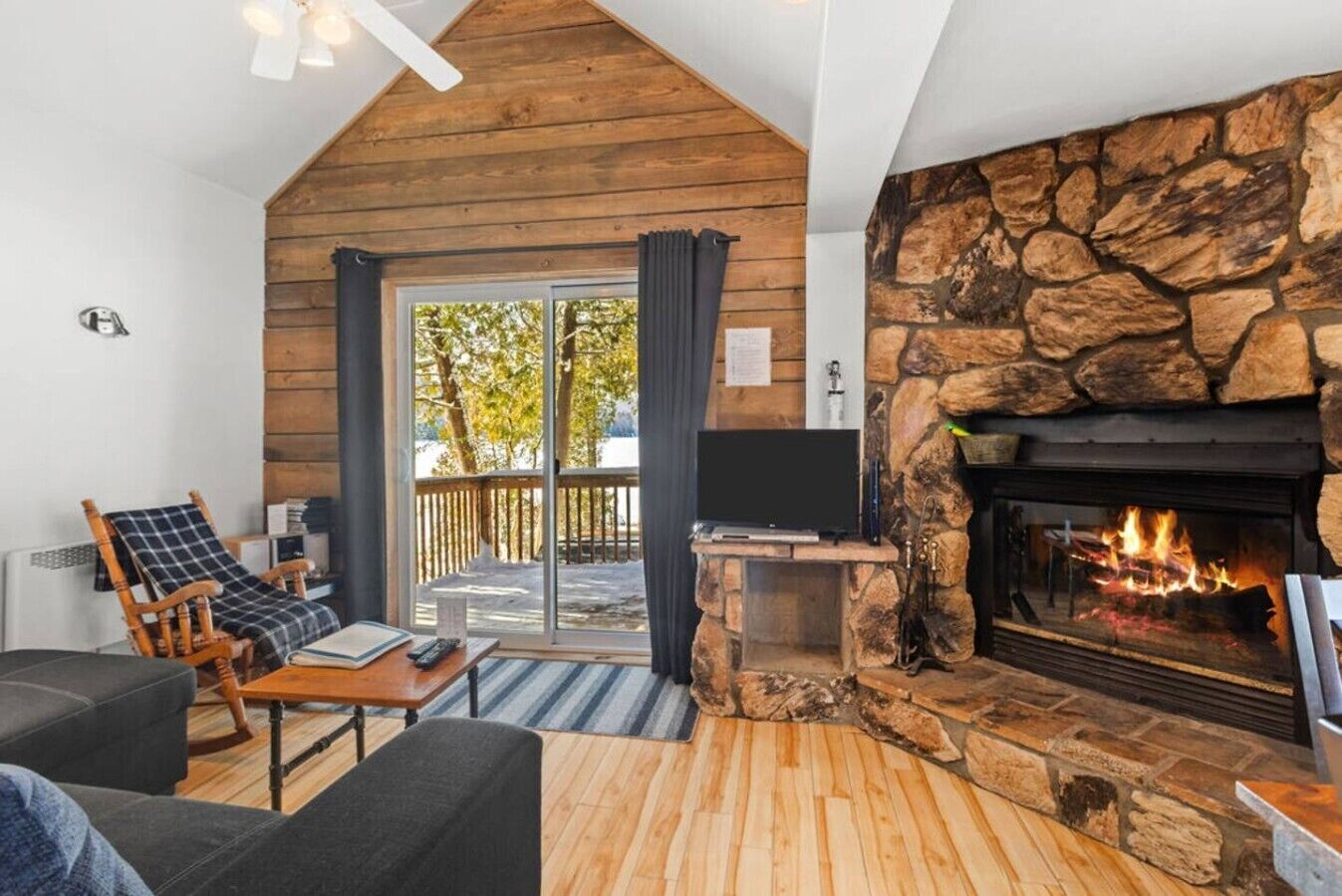 TV, fireplace