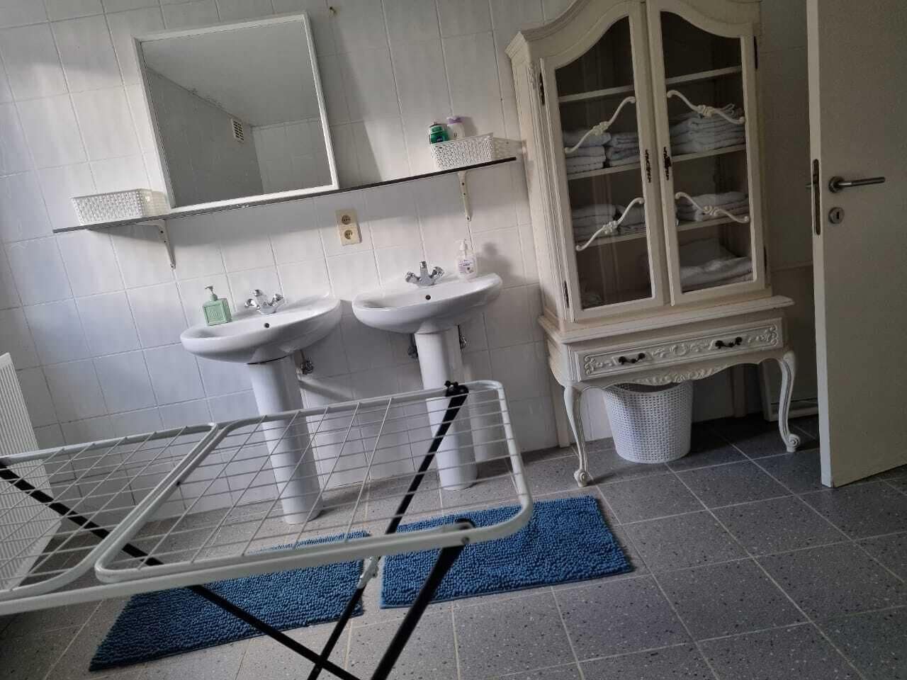 Klassiek huis, uitzicht op tuin | Badkamer