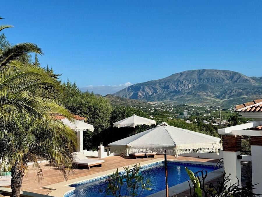 Zona de piscina con vista a la montaña, sombrillas blancas y una palmera.