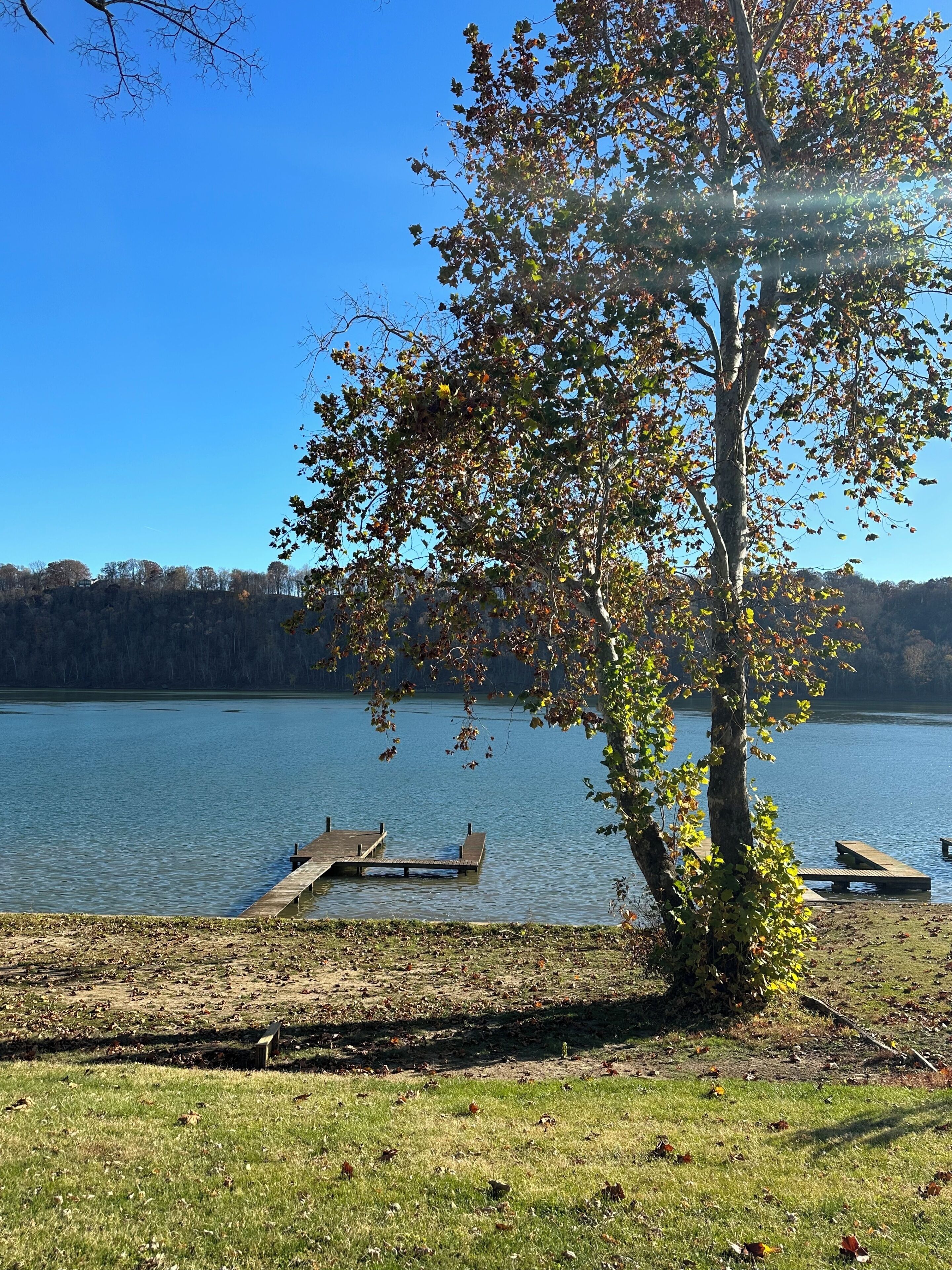 Ein See mit angestaubten Booten, eine Wiese und ein Baum mit Herbstlaub.