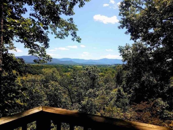 Property grounds - Treetop Hideaway / Stunning Views / Dog friendly (Page County)