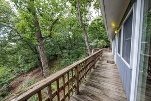 Property grounds - Treetop Hideaway / Stunning Views / Dog friendly (Page County)