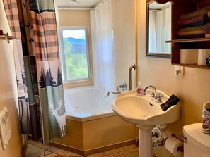 Jetted bath, hair dryer, towels, soap - Serene mountain getaway / Beautiful Views / Dog friendly (Page County)