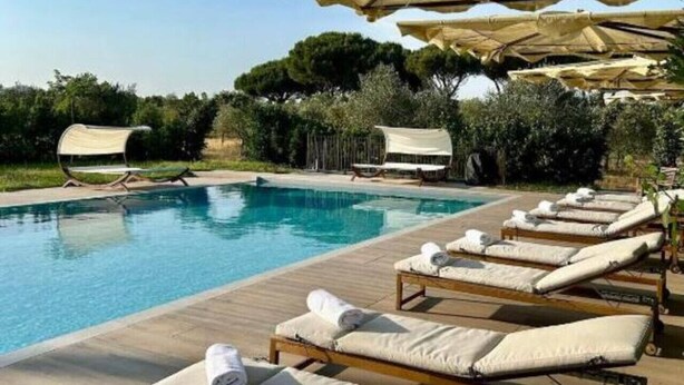 Zona junto a la piscina con sillones de descanso y sombrillas, rodeada de vegetación.