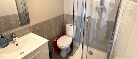 Shower, towels, soap, toilet paper