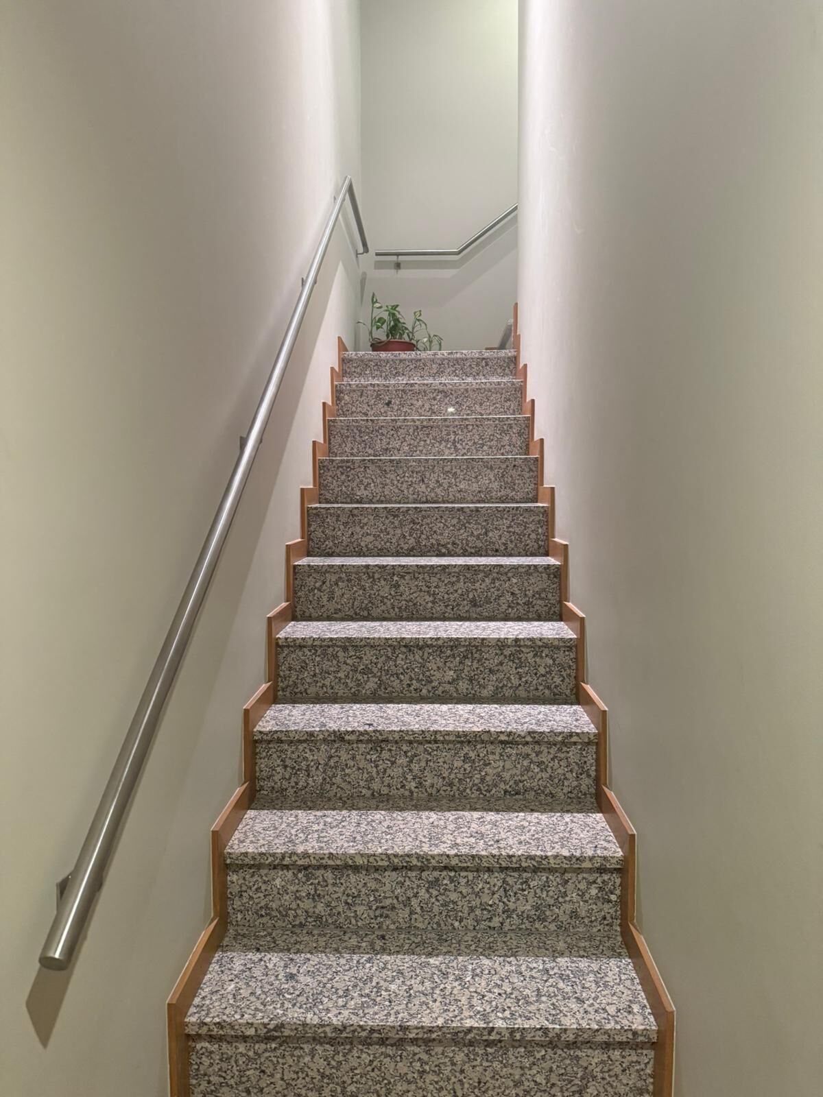 Una escalera con barandilla, escalones alfombrados y una planta en maceta en la parte superior.