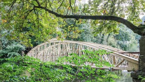 A wooden bridge over a body of water, surrounded by dense greenery. - Arkwright (Matlock)