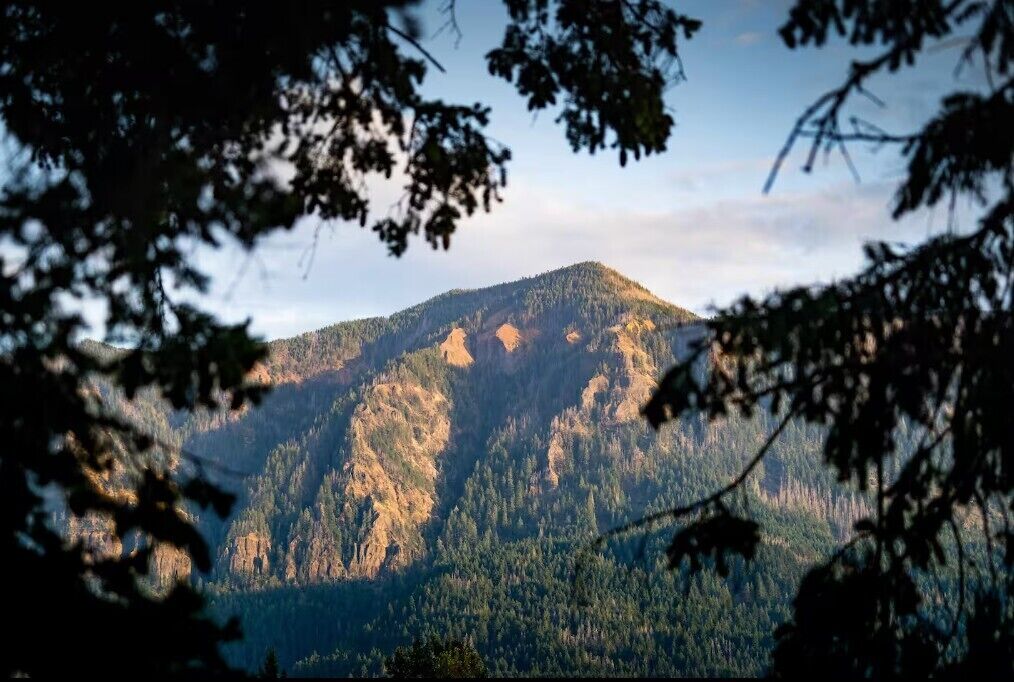 A mountain landscape with dense forest.