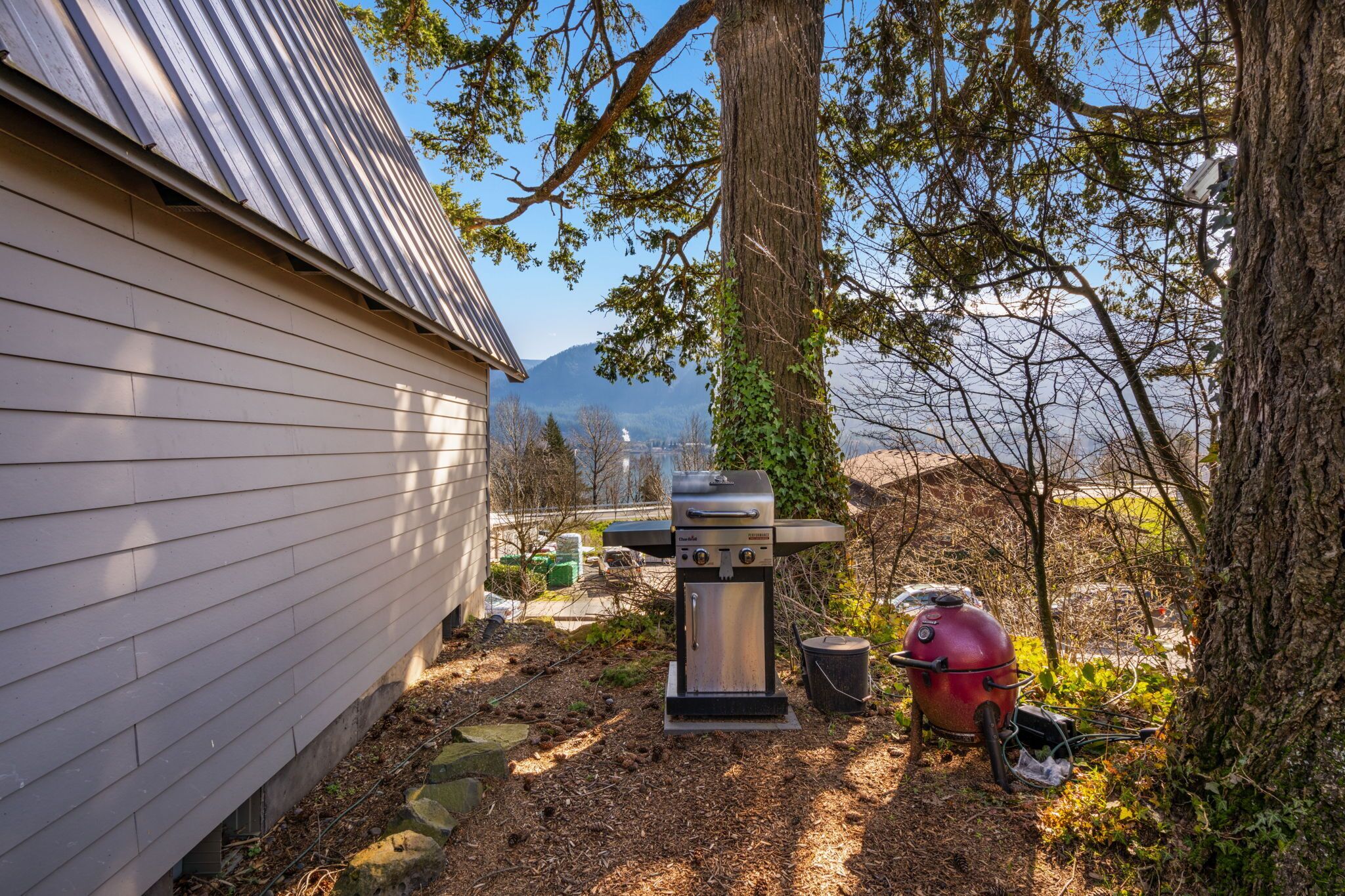 A backyard with a grill, a barbecue, and a tree.