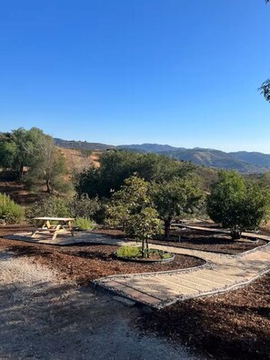 Outdoor dining - Lilac Country Villa on 20 Acre Avocado FARM Stay (Escondido)