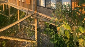 Une cabane en bois dotée d’une terrasse, de grandes fenêtres et d’un espace abrité.