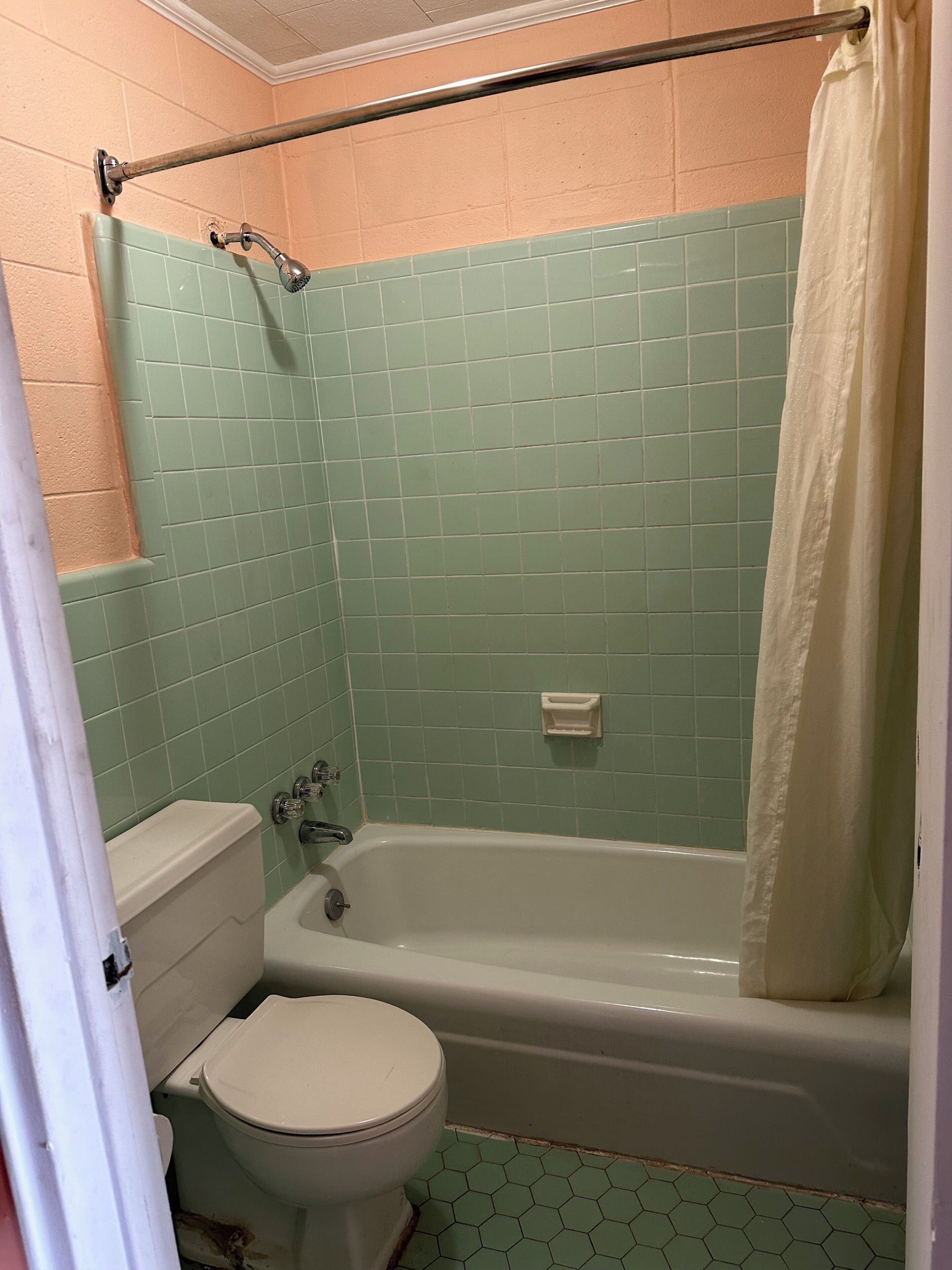 Bathtub, towels, soap, shampoo