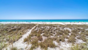 A beach with sand dunes and a clear blue sky. - Sands of Laguna B-1 (Panama City Beach)