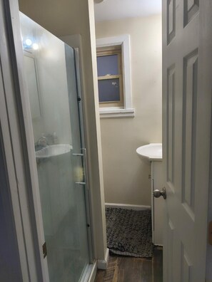 Shower, hair dryer, towels, soap - Charming 1-bedroom apartment with AC in vibrant Pittsburgh (Pittsburgh)