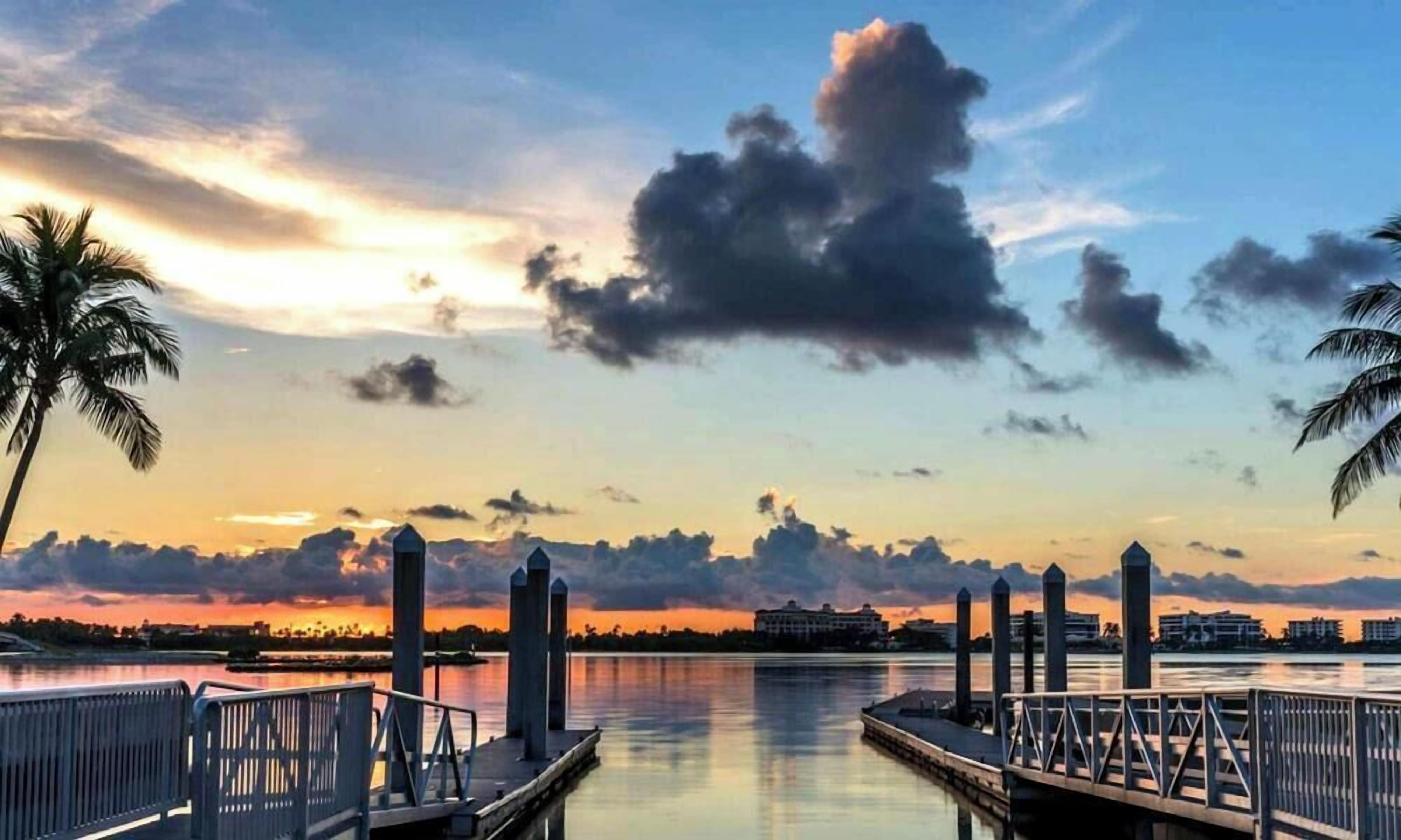 A waterfront scene with a dock, palm trees, and a sunset.