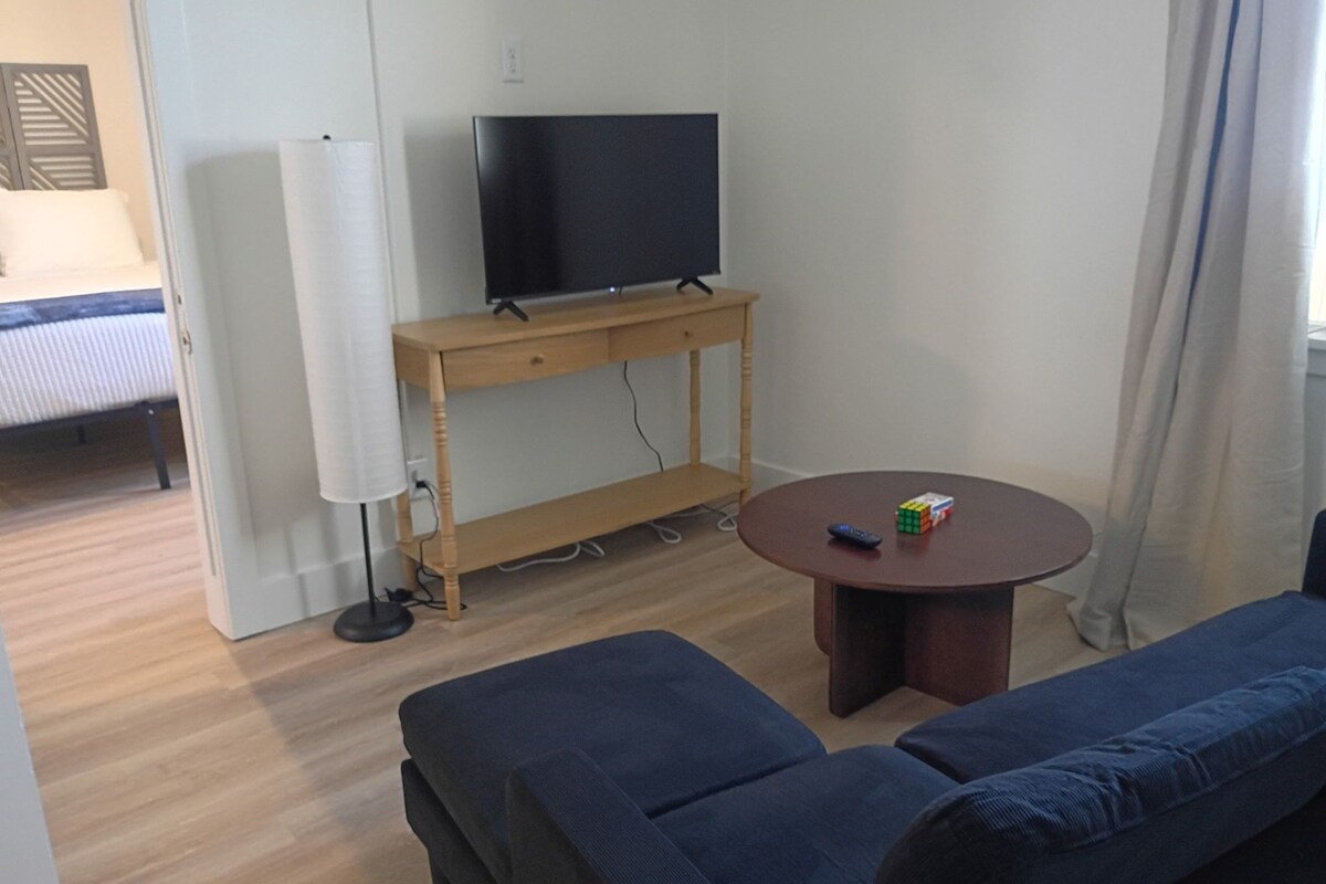 Deluxe Apartment, 1 Queen Bed, Non Smoking, Refrigerator & Microwave | Living area