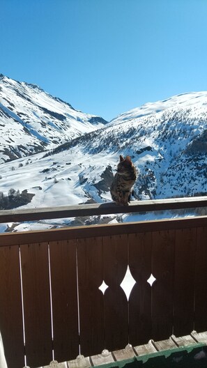 Property grounds - PeakView Mansarda Vacanze a Livigno 2123 slm - L'emozione di toccare il cielo! (Livigno)