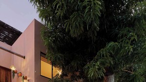 A modern building with a staircase, a hammock, and potted plants. - Comfortable Apartment with Pool & Outdoor Oasis (Puerto Escondido)