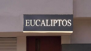 A building with a sign reading 'EUCALIPTOS' above a closed door. - Stylish King Apartment in Oaxaca's Reforma District (Oaxaca de Juárez)