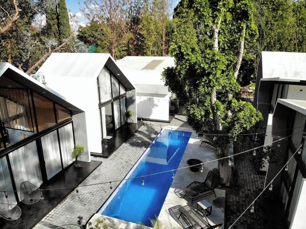 Et moderne hus med swimmingpool, store vinduer og et træ.