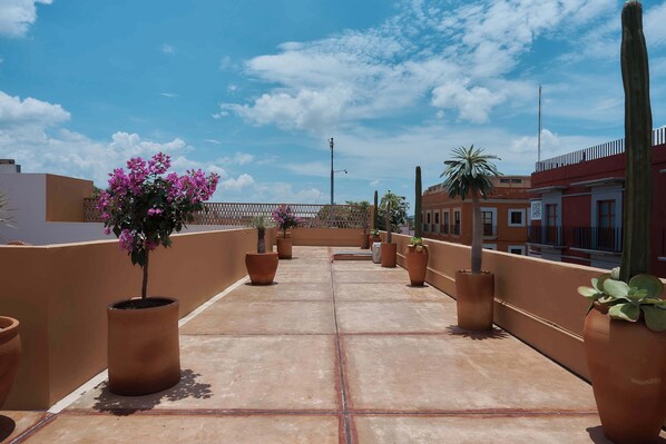 A rooftop terrace with potted plants, a clear sky, and a distant view of buildings.
