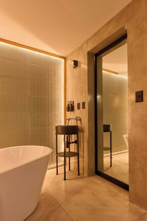 Shower, hair dryer, shampoo