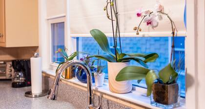 3-bedroom apartment in adorable Revere with AC near the beach
