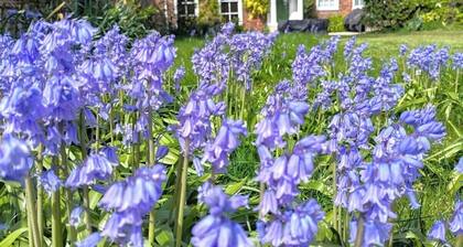 Large celebration Town House in Chichester City Centre. Great for groups/families!