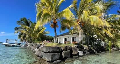 PARADISE II