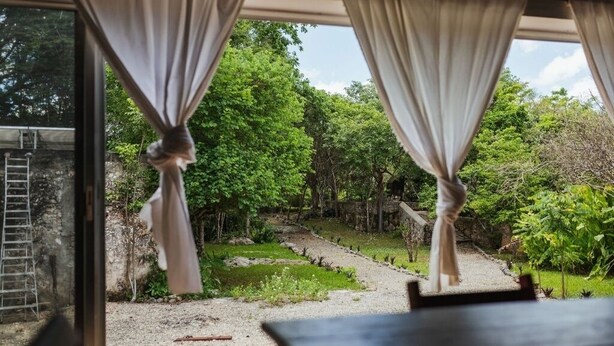 A room with a view of a garden through curtains, a stone pathway, and a ladder outside. - Cuch Balam Private Estate with 3 Bedrooms, 2 Hectares of Garden, Pool and Cenote (Chunkanán)