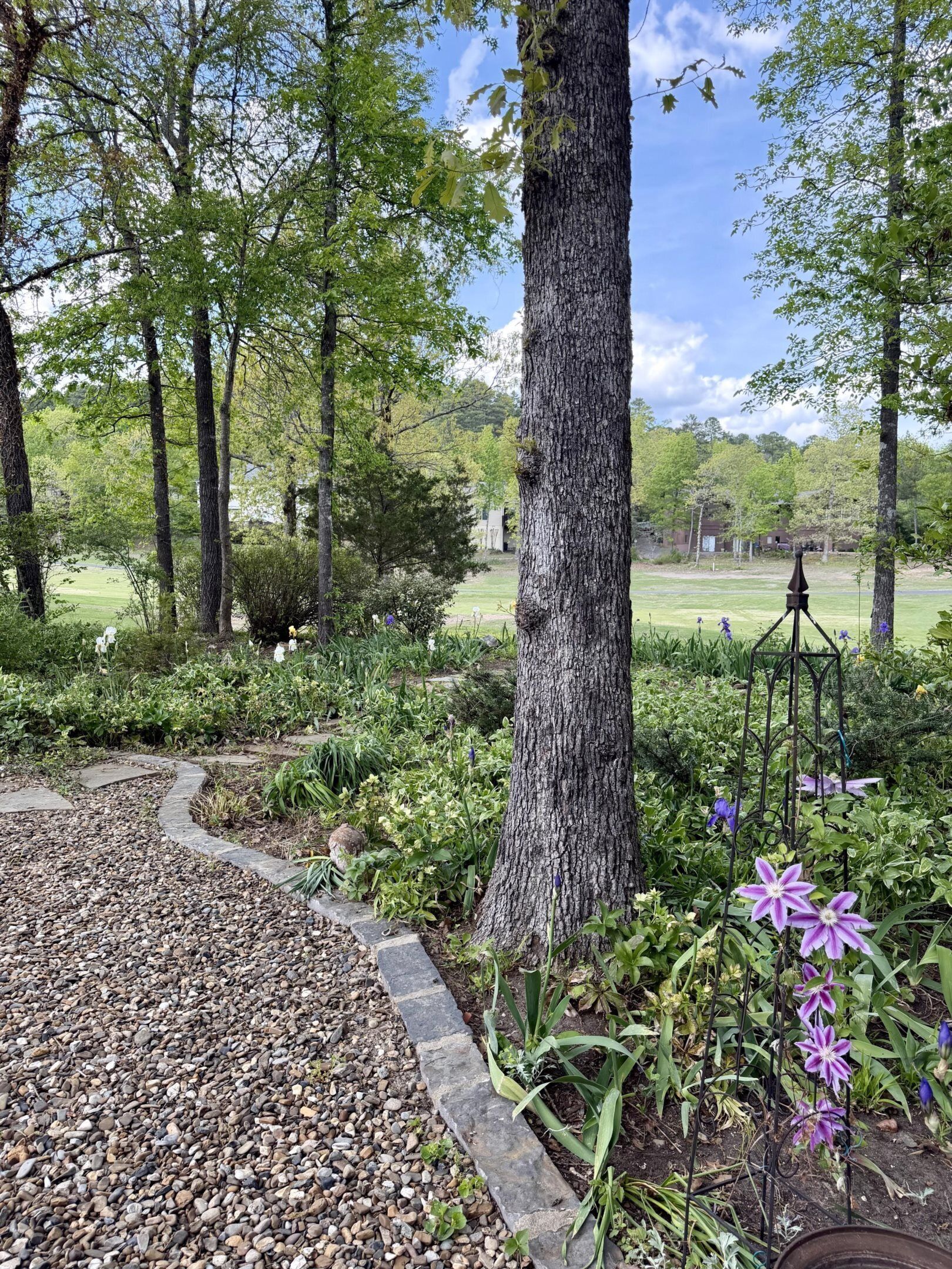 A garden with a gravel path, trees, and purple flowers.