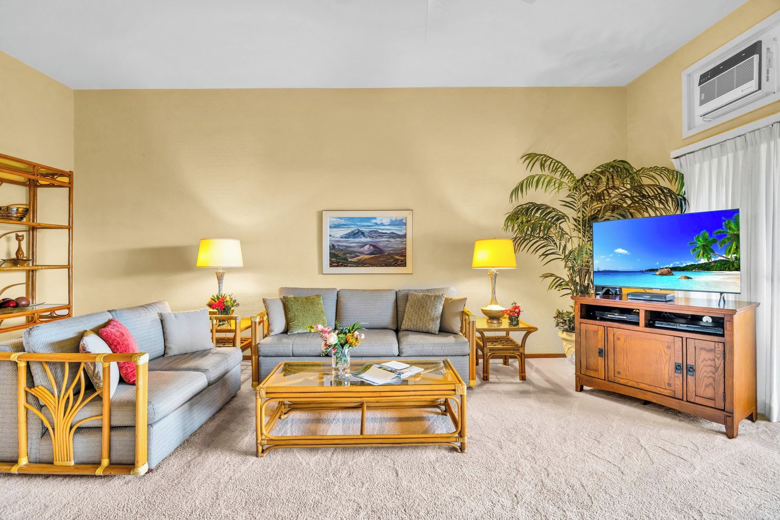 A living room with a sofa, coffee table, TV, and a large plant.