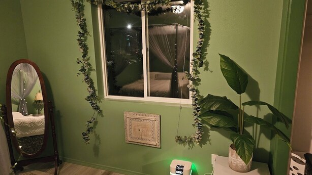 A room with a bed, a mirror, a window with a curtain, a radiator, a plant, and a small heater. -  3-bedroom Garden house with AC/Hot tub in beautiful Eugene (Eugene)