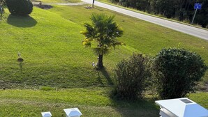 Un terraç de fusta amb baranes blanques amb vista a un jardí ben cuidat, amb una palmera i arbustos.