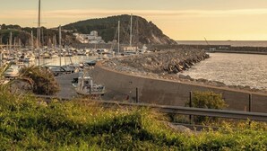 Un puerto deportivo con barcos, un rompeolas rocoso y una colina al fondo.