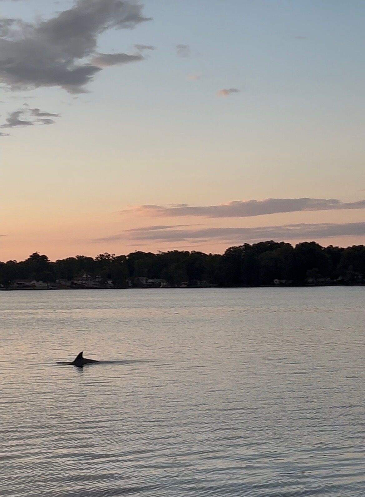 A body of water with a silhouette of a person swimming.