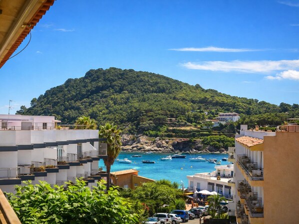 Vista desde la propiedad