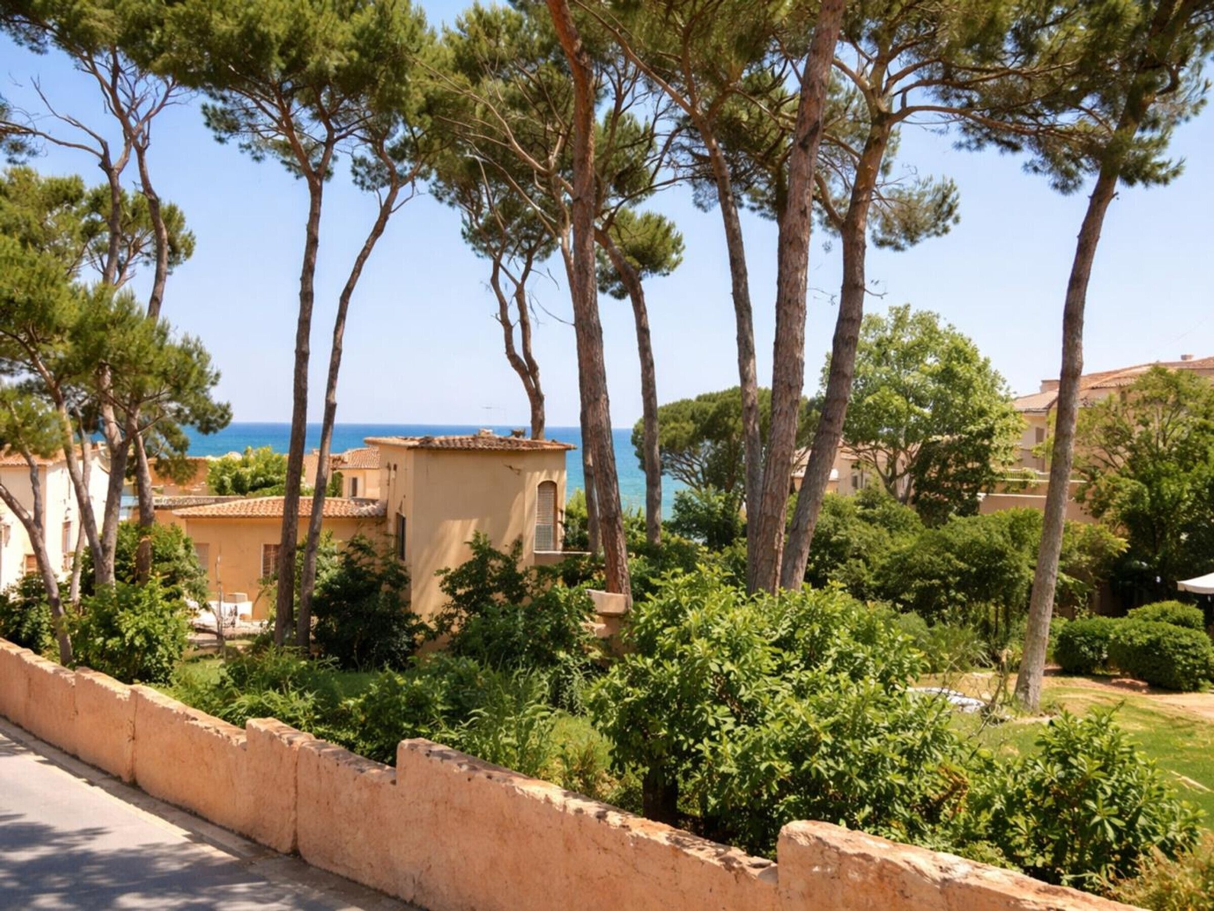 Una zona residencial costera con pinos, cielo despejado y vista al mar.