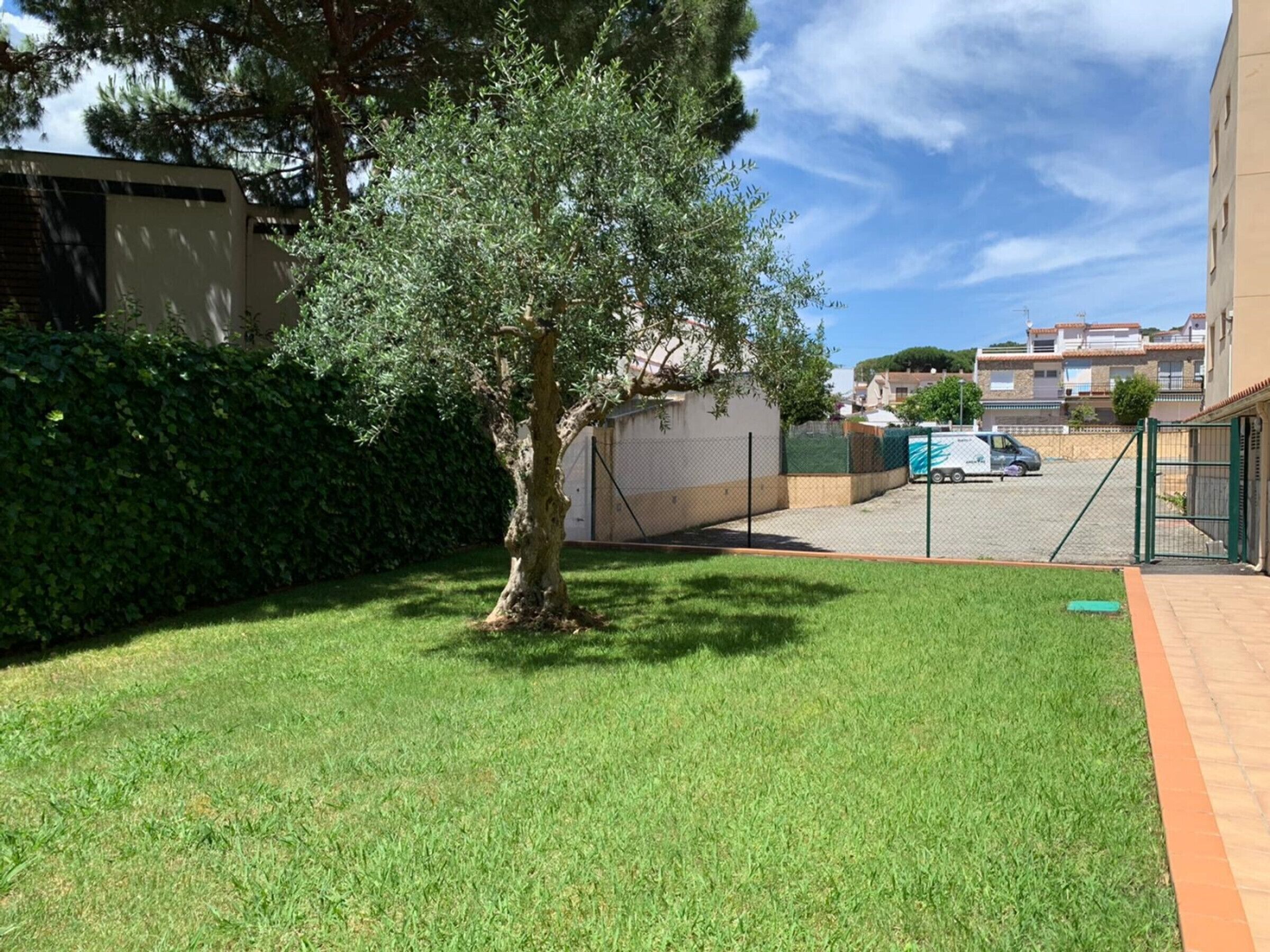 Un quartier résidentiel avec une pelouse bien entretenue, un arbre, une clôture et une voiture garée.