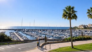 A marina with numerous boats docked, a clear sky, and a palm tree.