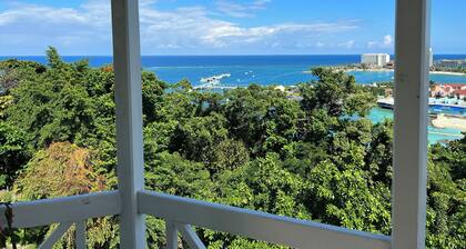 Lovely 1-bedroom Super Studio with AC in charming Ocho Rios's, Jamaica St Ann.