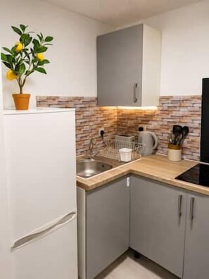 A compact kitchen with a refrigerator, sink, and a potted plant. - Flat in Manchester – Dudley's Dove (Manchester)