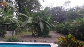 Pool - Serene 1-bedroom villa with AC in Puerto Viejo de Talamanca (Puerto Viejo de Talamanca)