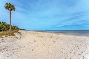Une plage de sable avec un palmier et une vue sur l’océan.