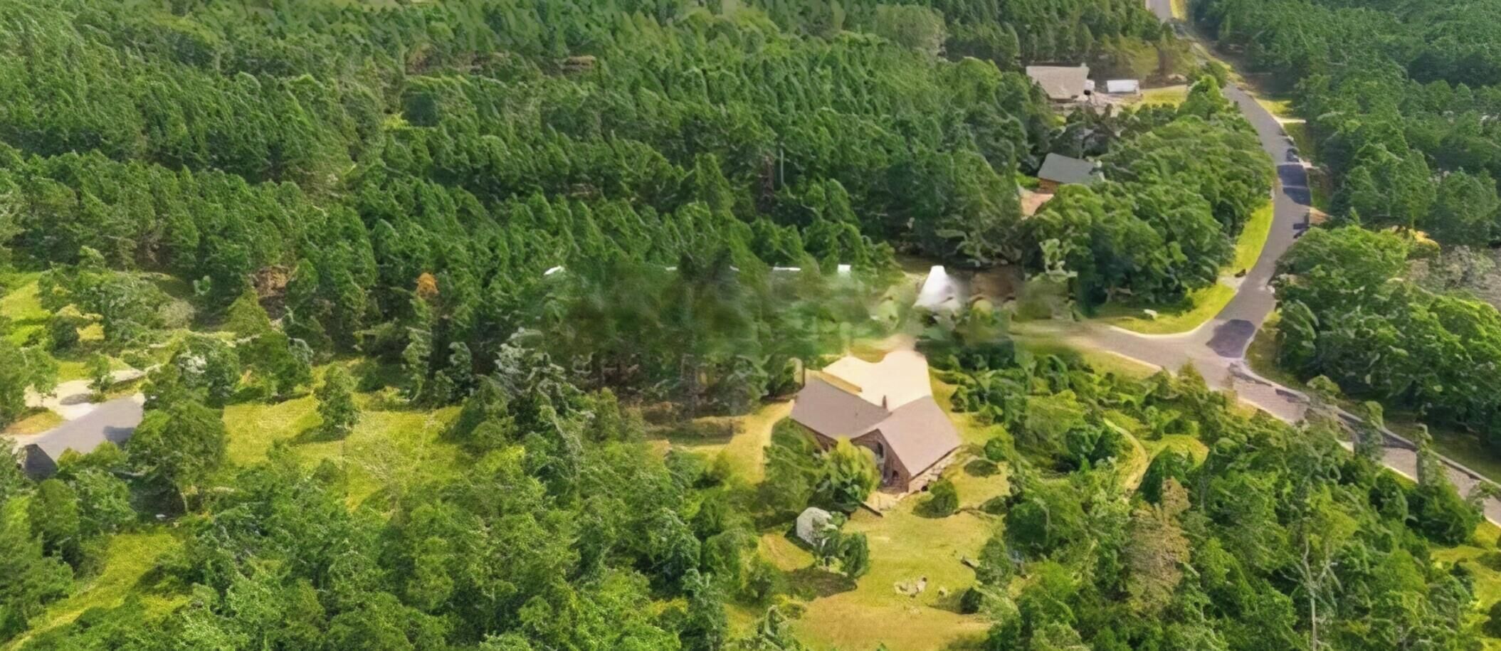 Vista aérea de una zona residencial con una casa solitaria rodeada de abundante vegetación y un camino sinuoso.
