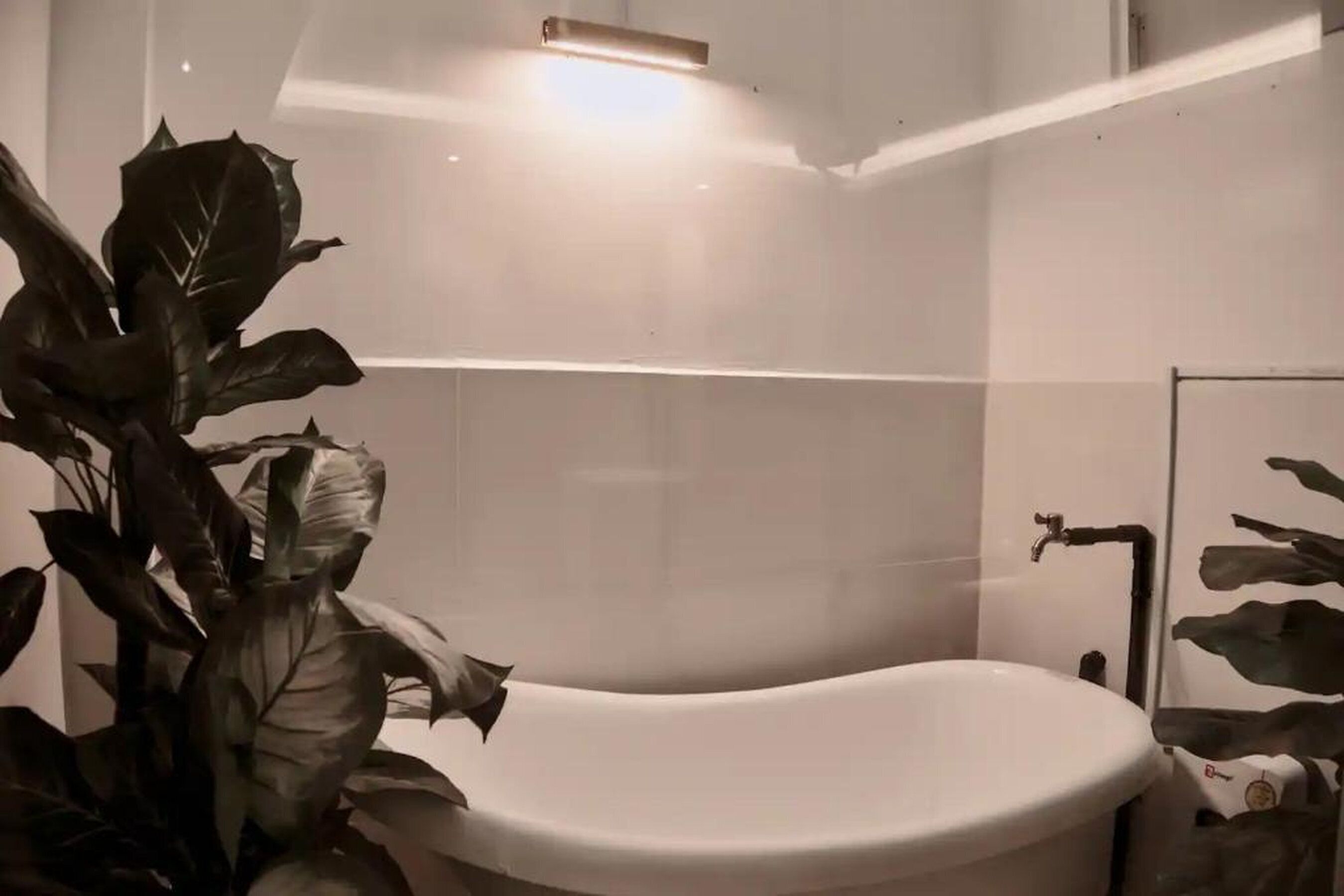 Ein modernes Badezimmer mit einer freistehenden Badewanne, einem Wandhandtuchhalter und einem Topf mit Pflanze.
