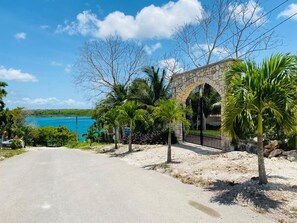 Una carretera costera con un arco de piedra, palmeras y vistas al mar.