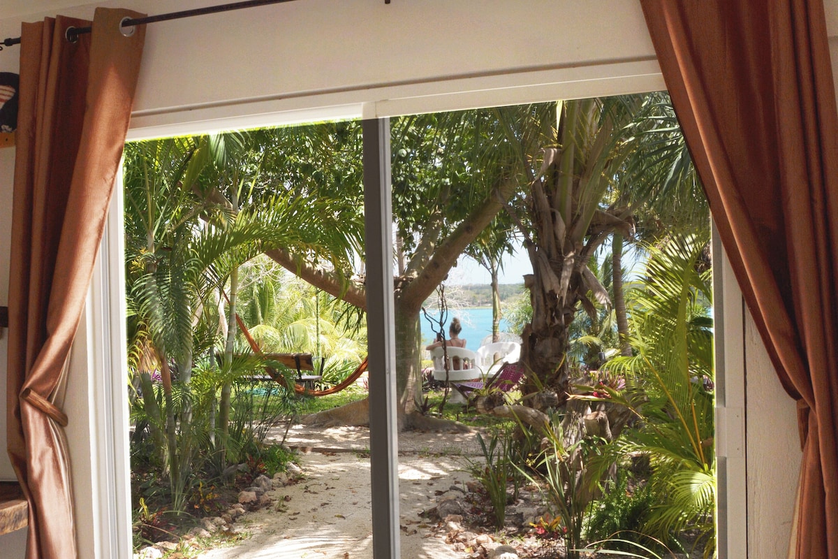 A room with a large sliding glass door leading to a tropical garden with palm trees and a view of the sea.